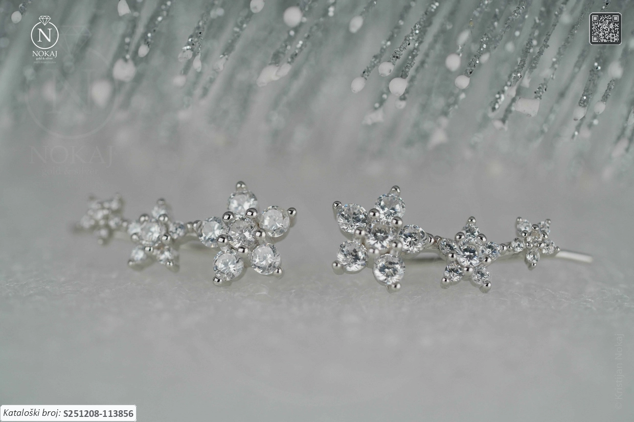 SREBRNE NAUŠNICE S CIRKONIMA - CVIJET (S251208-113856)