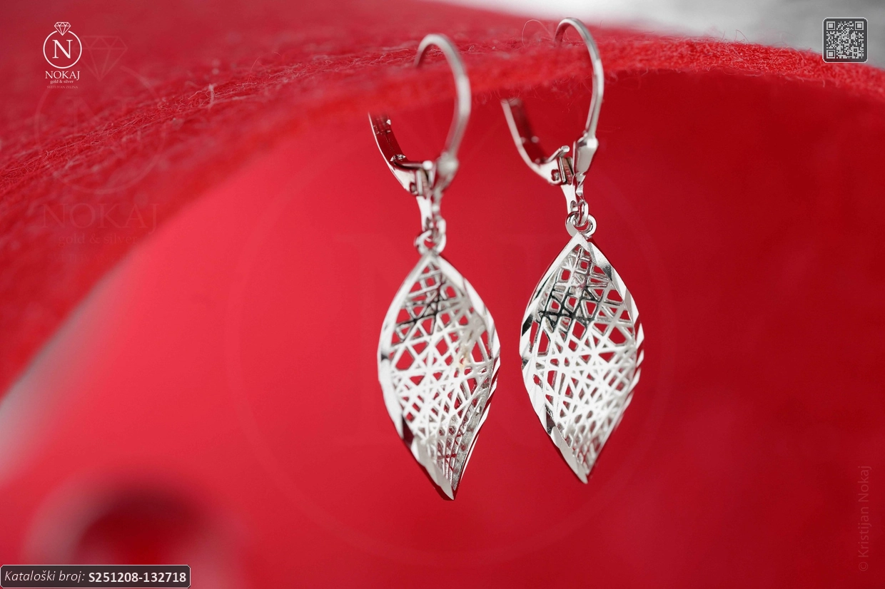 SREBRNE NAUŠNICE (S251208-132718)