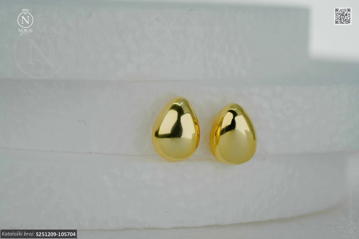 SREBRNE NAUŠNICE (S251209-105704)