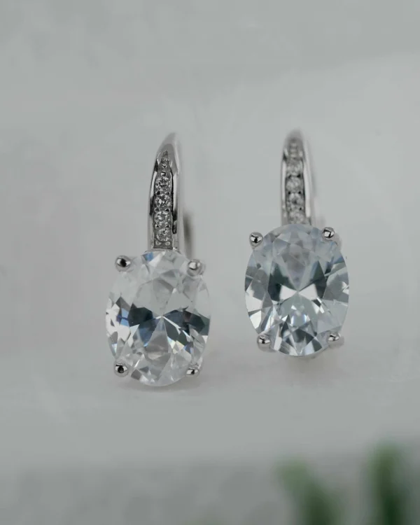 SREBRNE NAUŠNICE S CIRKONIMA (S251209-111041)