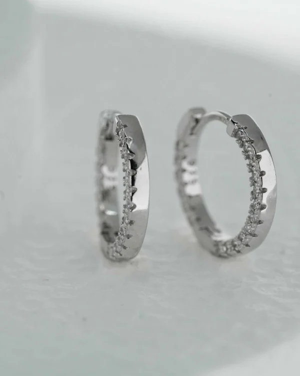 SREBRNE NAUŠNICE S CIRKONIMA (S251209-111923)
