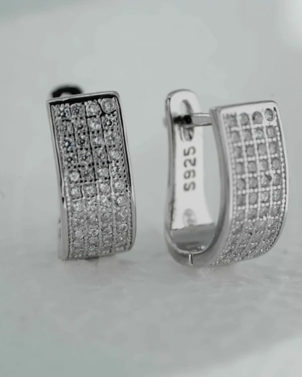 SREBRNE NAUŠNICE S CIRKONIMA (S251209-125024)