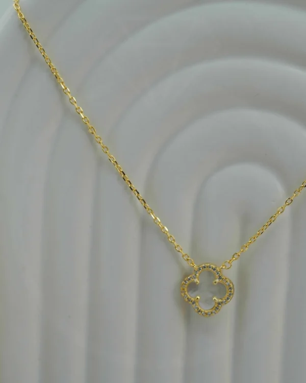 SREBRNA OGRLICA - DJETELINA (S251210-135849)