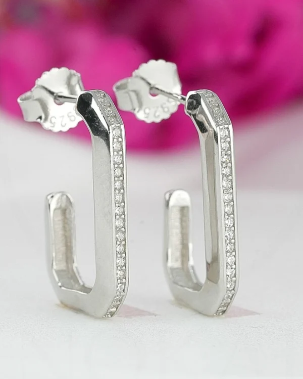 SREBRNE NAUŠNICE (S251212-093309)