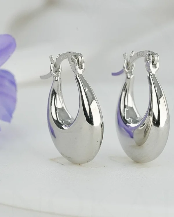 SREBRNE NAUŠNICE (S251212-093747)