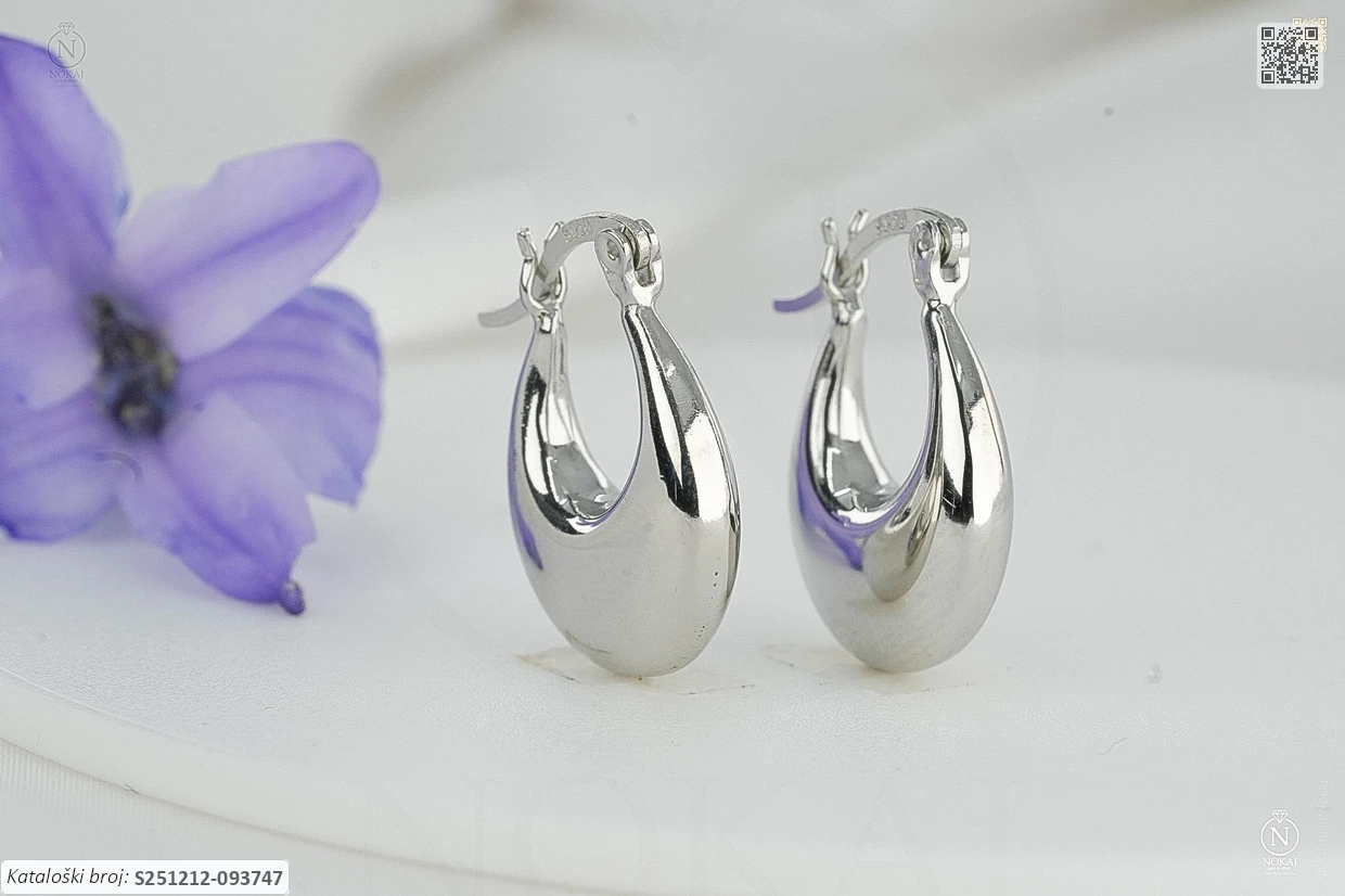 SREBRNE NAUŠNICE (S251212-093747)