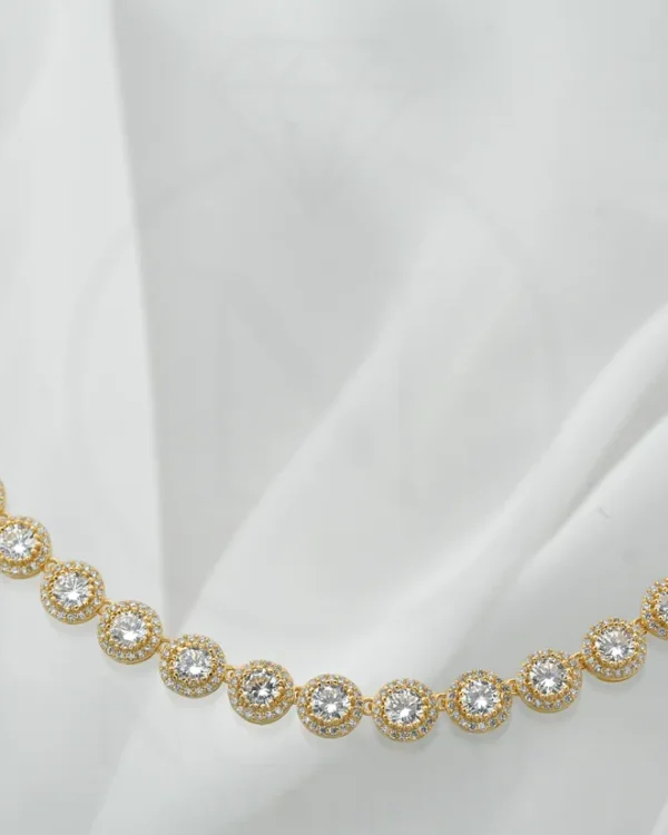 SREBRNA OGRLICA (S251213-092632)