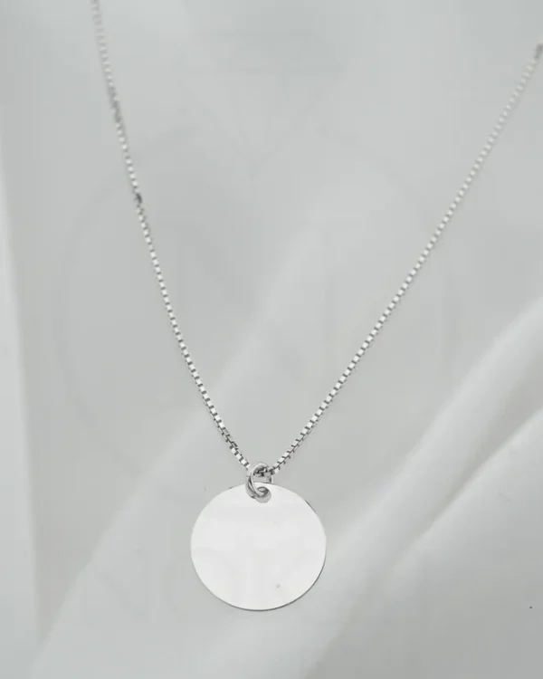 SREBRNA OGRLICA (S251213-092833)