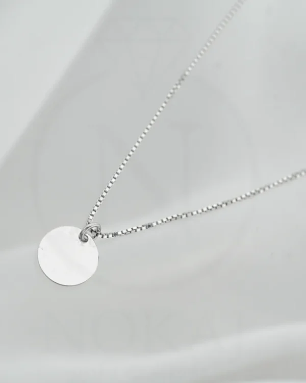 SREBRNA OGRLICA (S251213-100741)