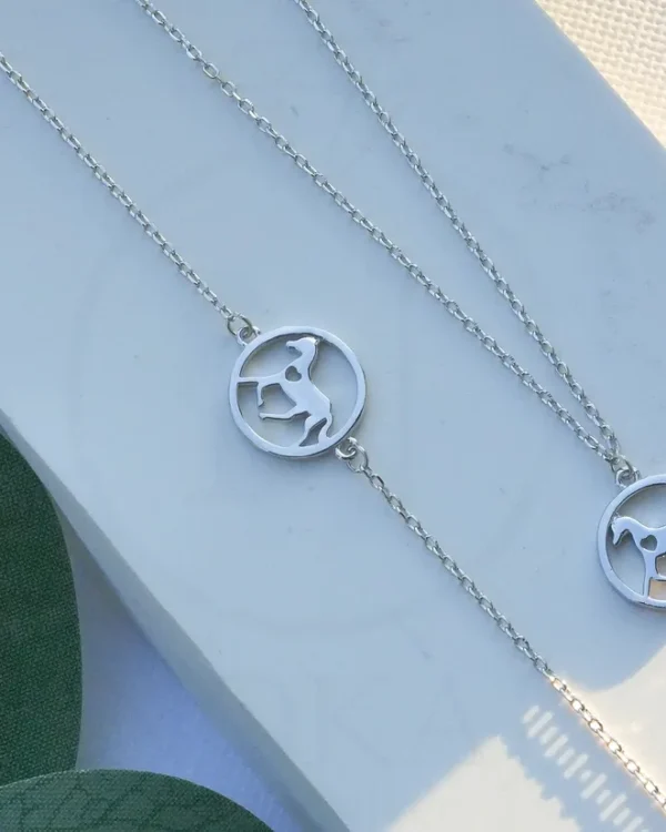 SREBRNI KOMPLET - KONJ (S251217-162926)