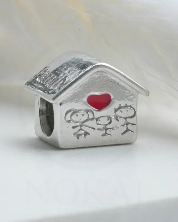 SREBRNI PRIVJESAK - FAMILY (S251217-194250)