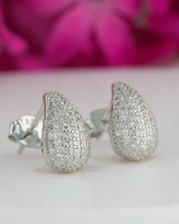 SREBRNE NAUŠNICE S CIRKONIMA (S260120-140849)