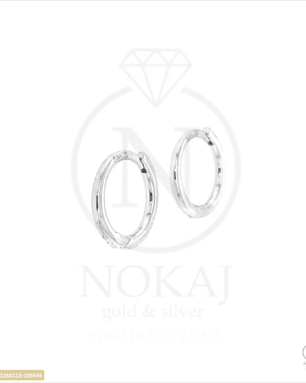 ZLATNE NAUŠNICE (Z260113-185645)