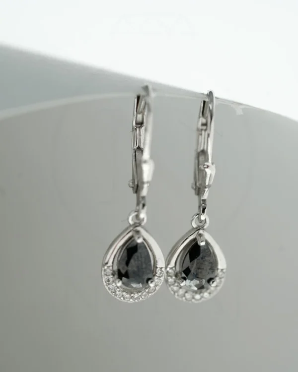 SREBRNE NAUŠNICE (S260302-142319)