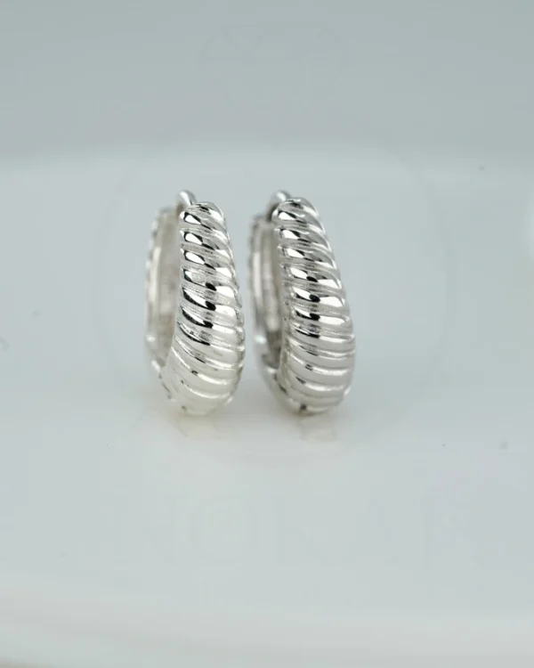 SREBRNE NAUŠNICE (S260303-120829)