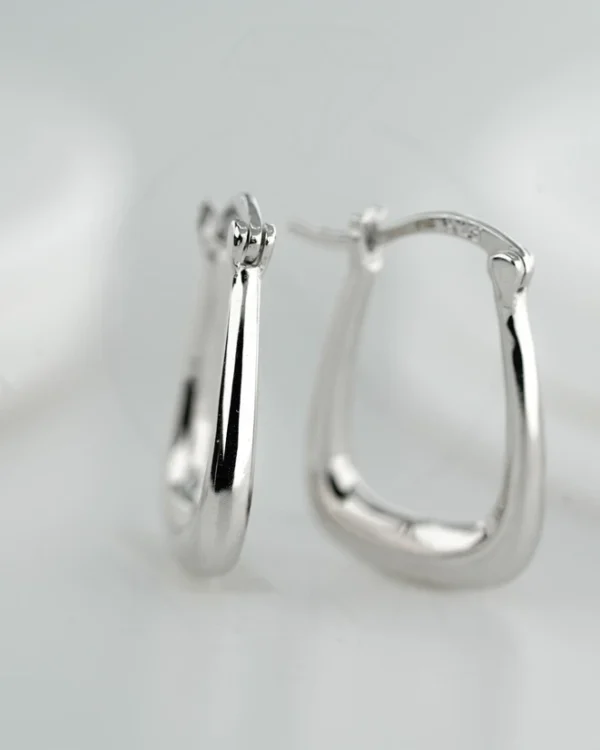 SREBRNE NAUŠNICE (S260303-121033)