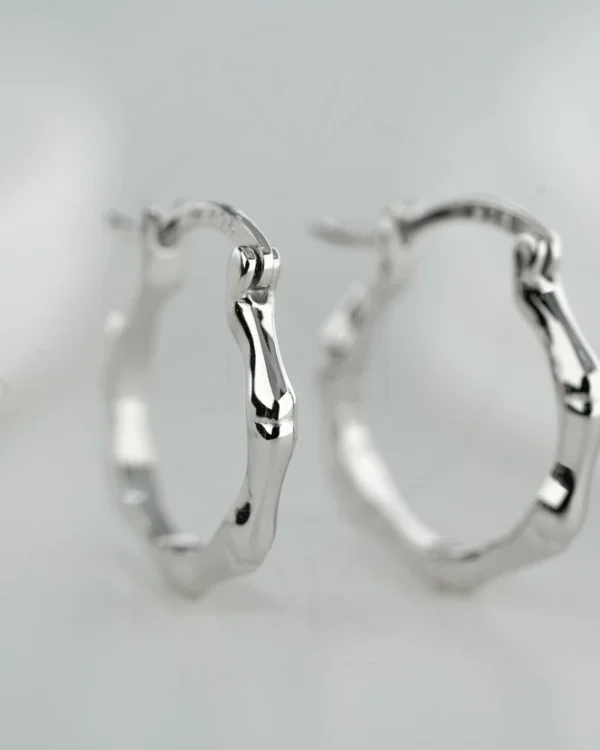 SREBRNE NAUŠNICE (S260303-121134)