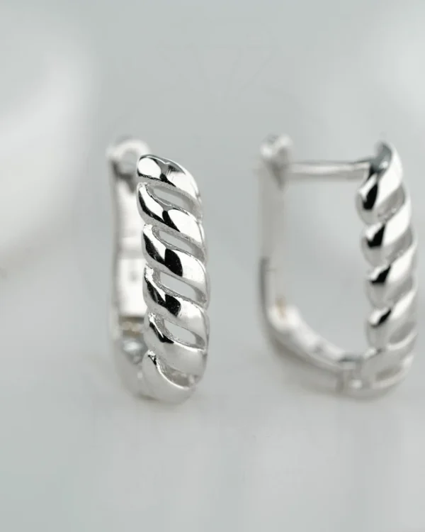 SREBRNE NAUŠNICE (S260303-121213)