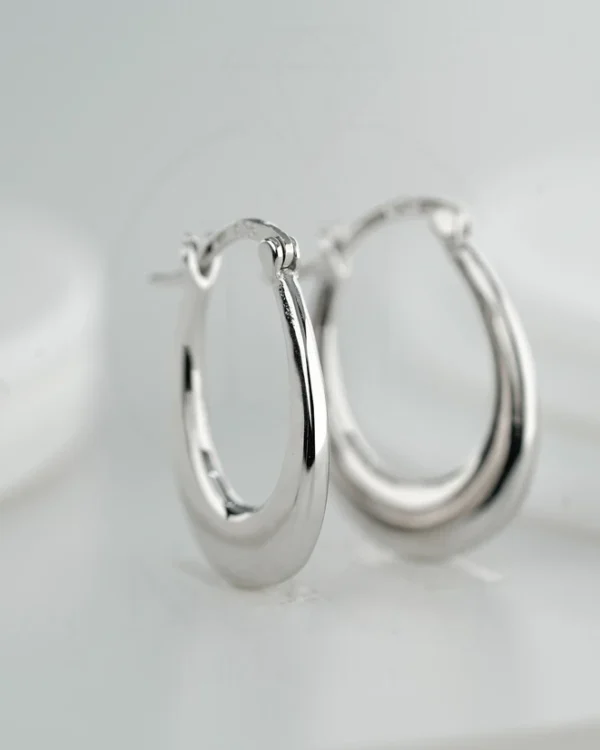 SREBRNE NAUŠNICE (S260303-121628)