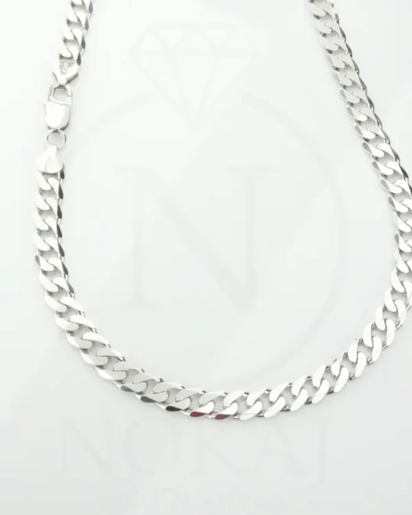 SREBRNI LANČIĆ (S260309-105513)