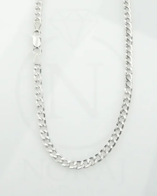 SREBRNI LANČIĆ (S260309-111641)