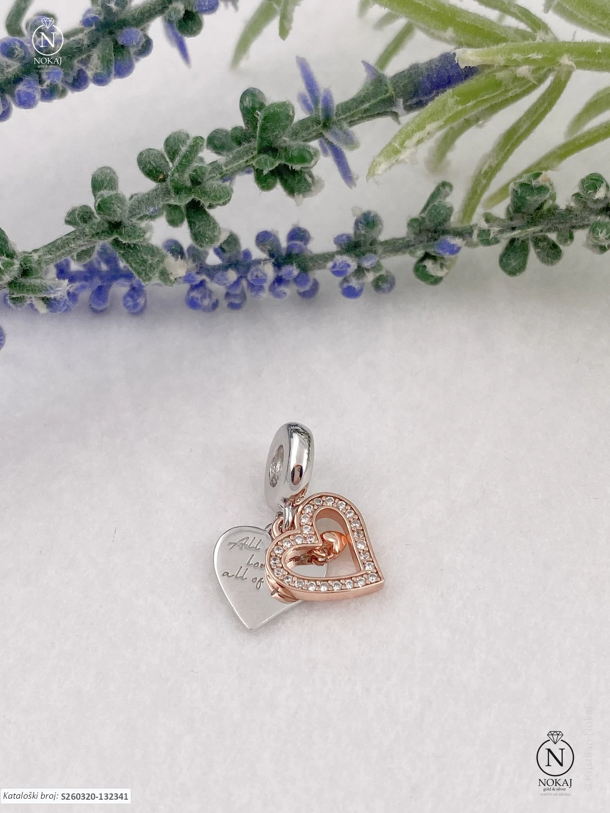 SREBRNI PRIVJESAK - SRCE (S260320-132341)