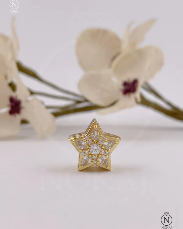 SREBRNI PRIVJESAK - ZVIJEZDA (S260320-134017)