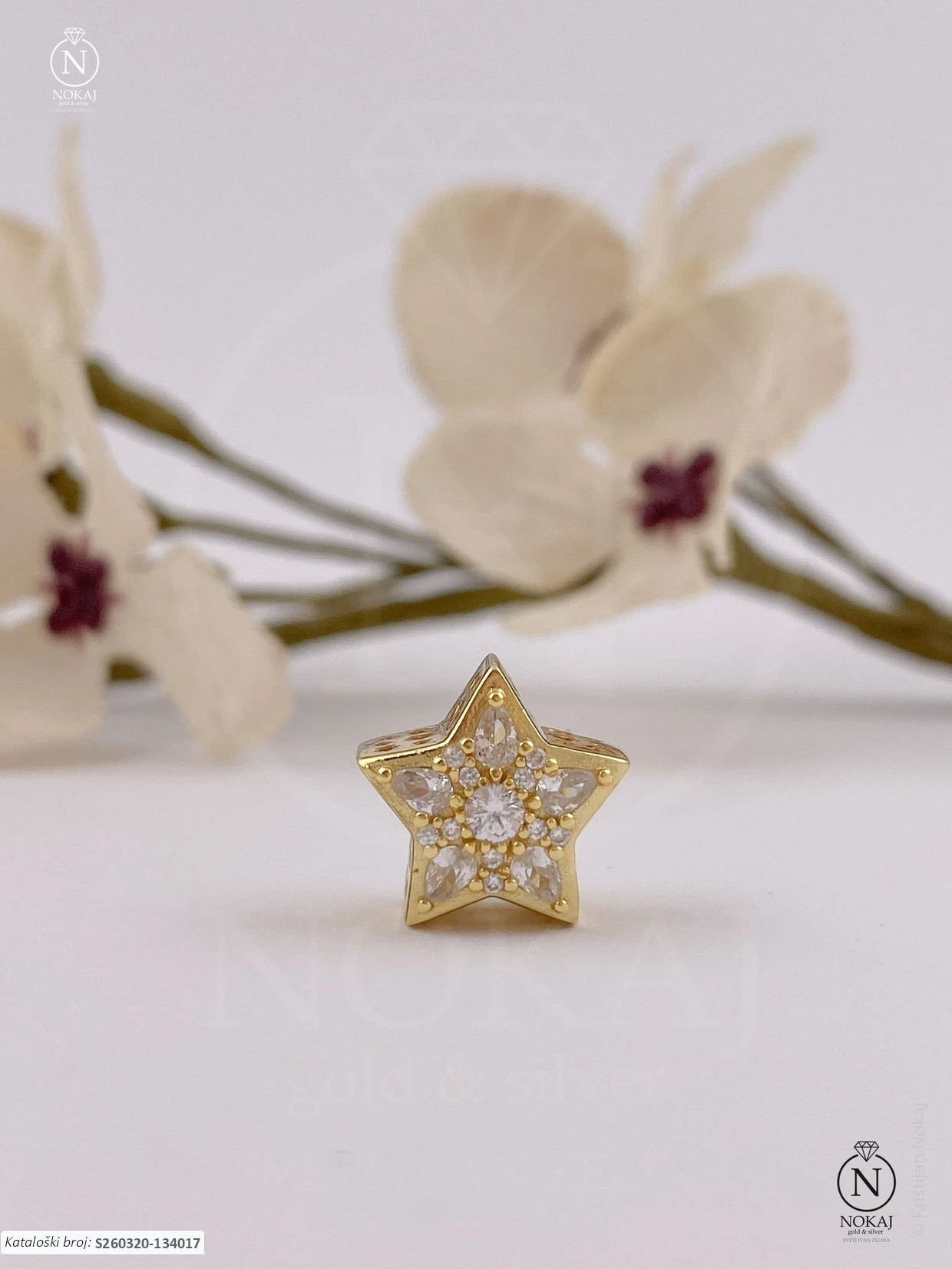 SREBRNI PRIVJESAK - ZVIJEZDA (S260320-134017)