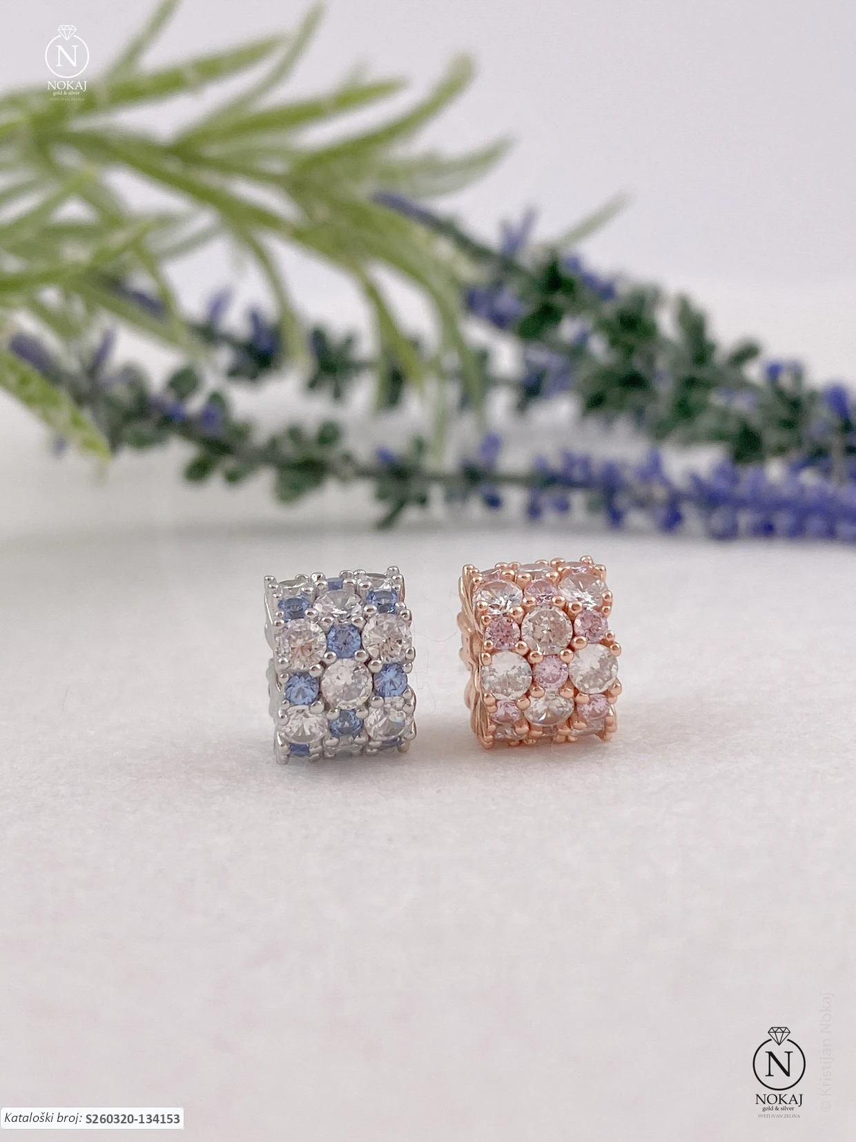 SREBRNI PRIVJESAK (S260320-134153)