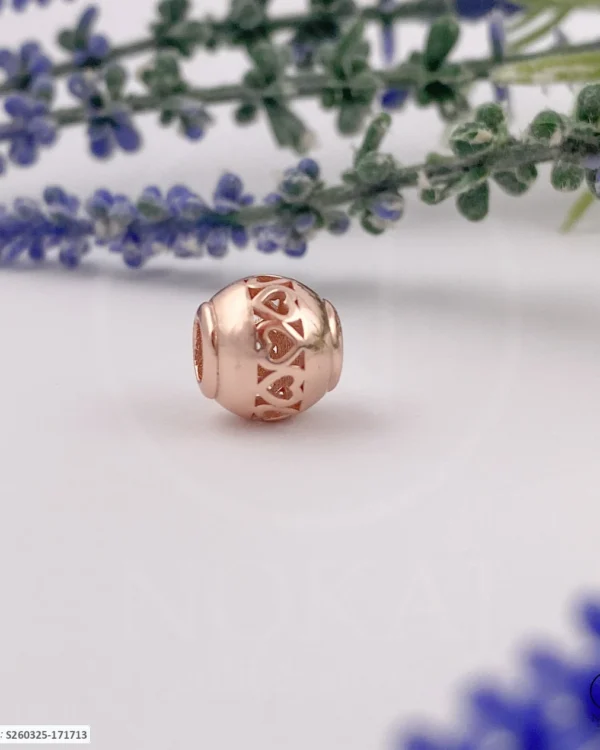 SREBRNI PRIVJESAK - SRCE (S260325-171713)