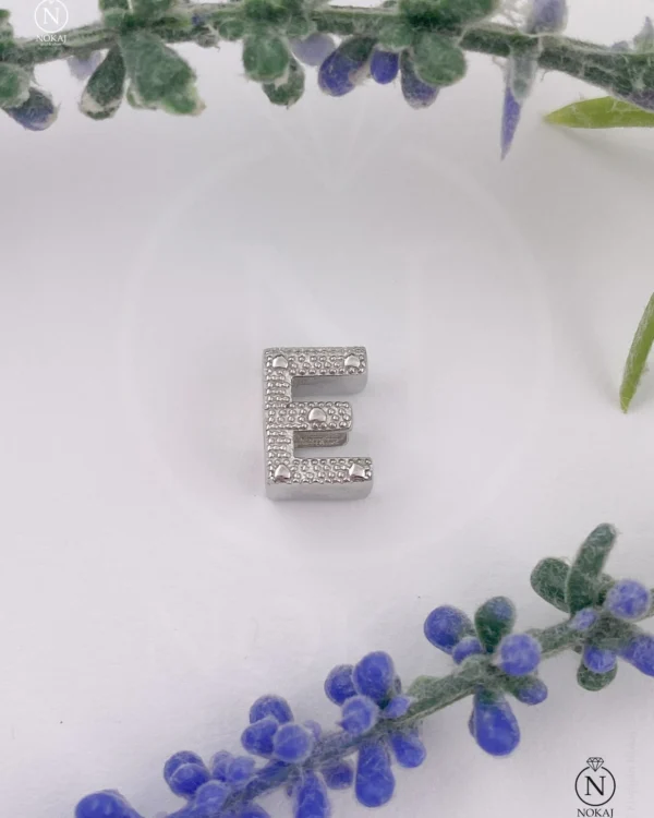 SREBRNI PRIVJESAK (S260325-171830)