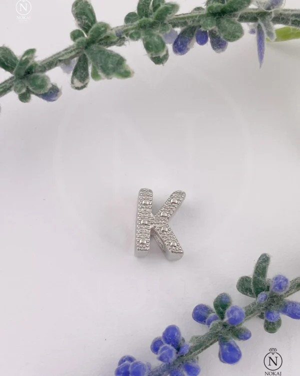 SREBRNI PRIVJESAK (S260325-171931)