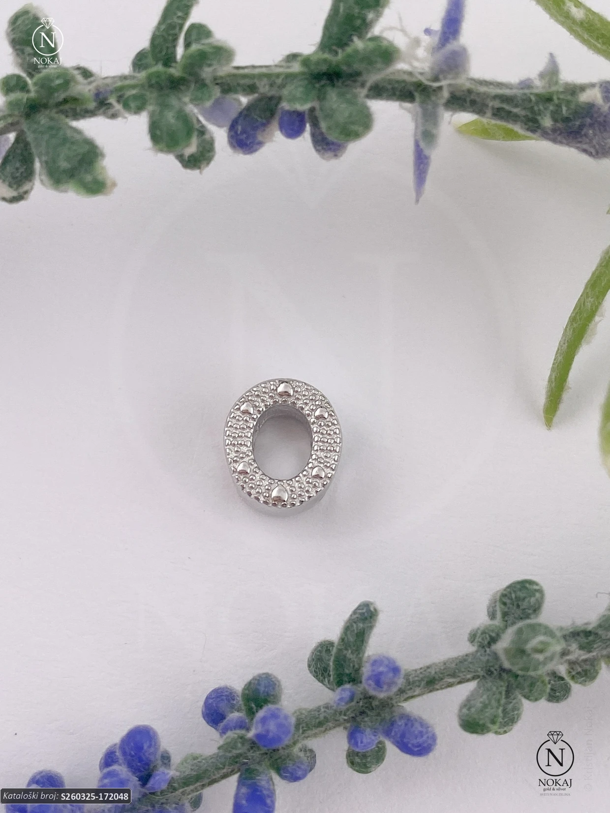 SREBRNI PRIVJESAK (S260325-172048)
