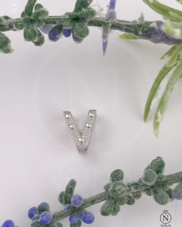 SREBRNI PRIVJESAK (S260325-172108)