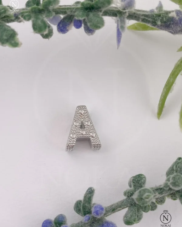 SREBRNI PRIVJESAK (S260325-172124)