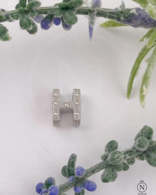 SREBRNI PRIVJESAK (S260325-172141)