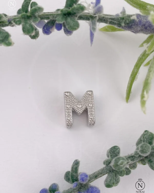 SREBRNI PRIVJESAK (S260325-172159)