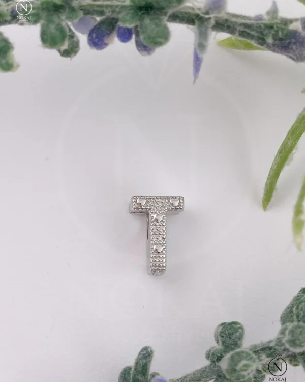 SREBRNI PRIVJESAK (S260325-172217)