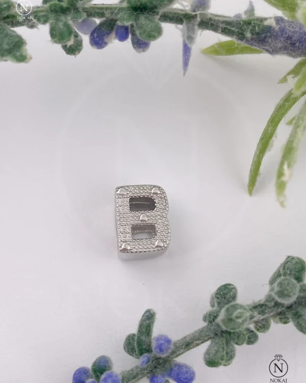 SREBRNI PRIVJESAK (S260325-172236)