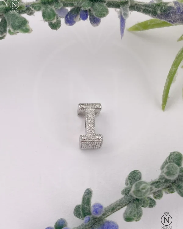 SREBRNI PRIVJESAK (S260325-172255)