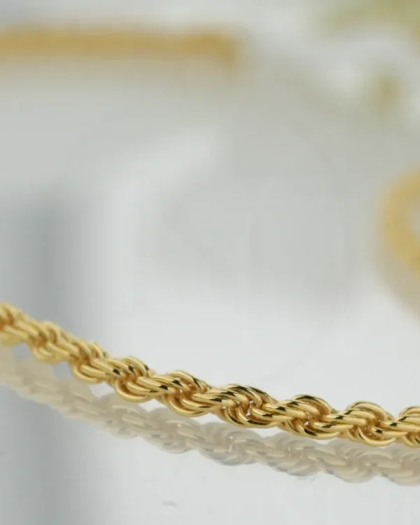 SREBRNI LANČIĆ (S260326-145937)