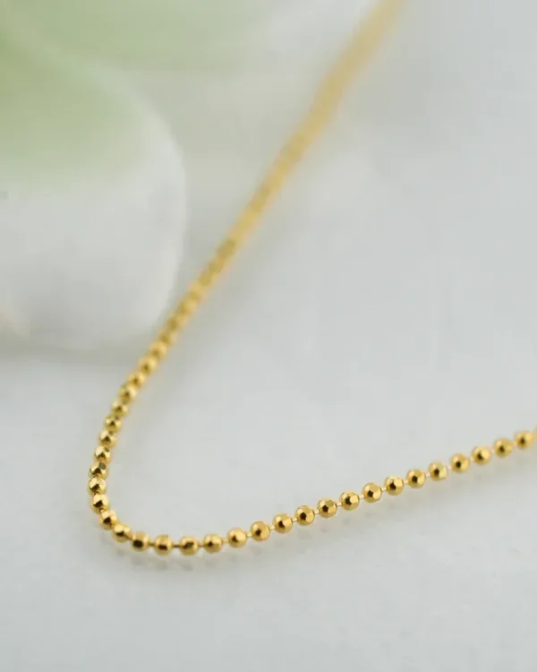 SREBRNI LANČIĆ (S260326-152438)