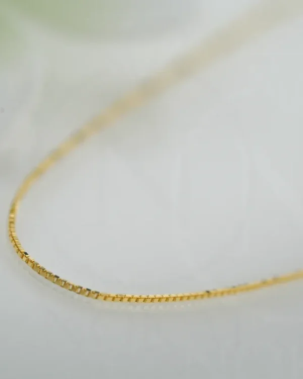 SREBRNI LANČIĆ (S260326-152706)