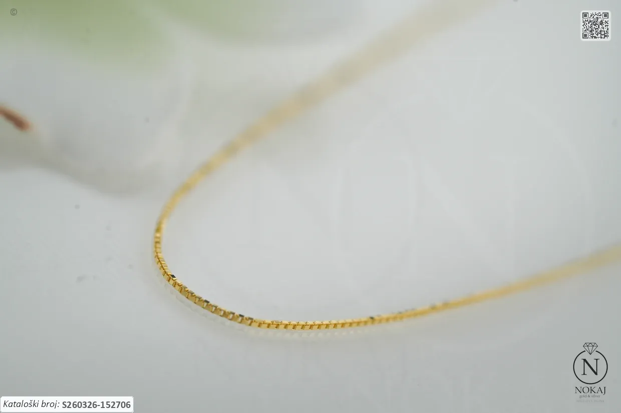 SREBRNI LANČIĆ (S260326-152706)