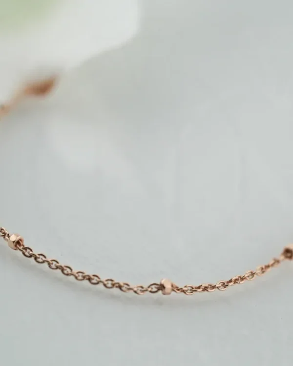 SREBRNI LANČIĆ (S260326-153342)