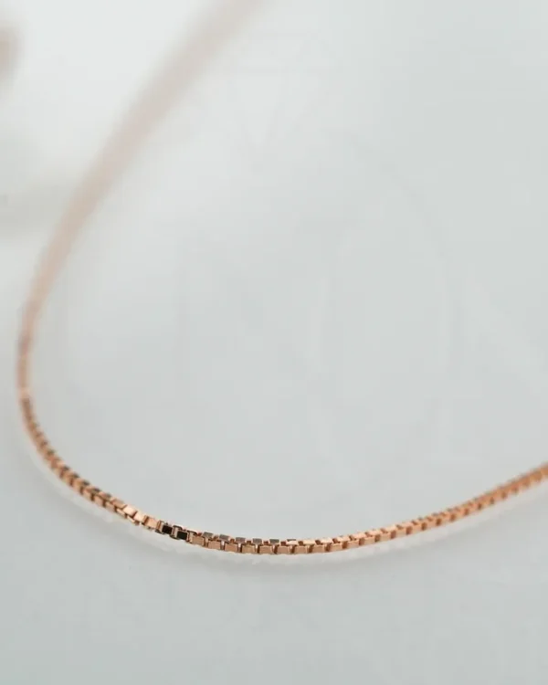 SREBRNI LANČIĆ (S260326-153744)