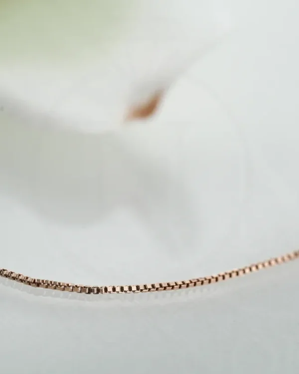 SREBRNI LANČIĆ (S260326-154034)