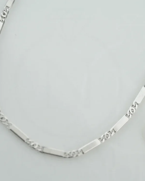 SREBRNI LANČIĆ (S260326-154938)