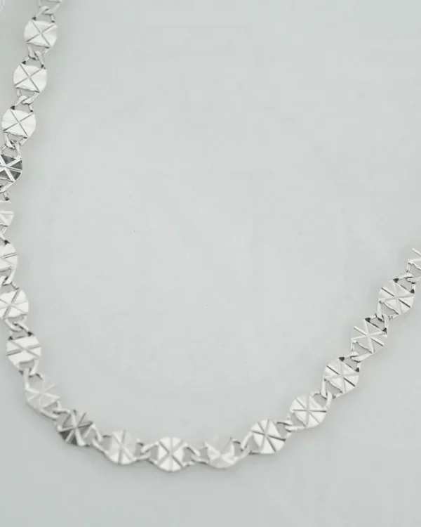 SREBRNI LANČIĆ (S260326-155939)