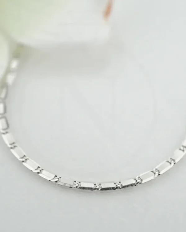 SREBRNI LANČIĆ (S260326-160832)